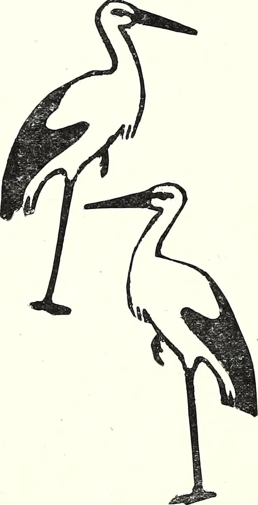 An illustration from The Kindergarten-Primary Magazine, 1912, leaf 143