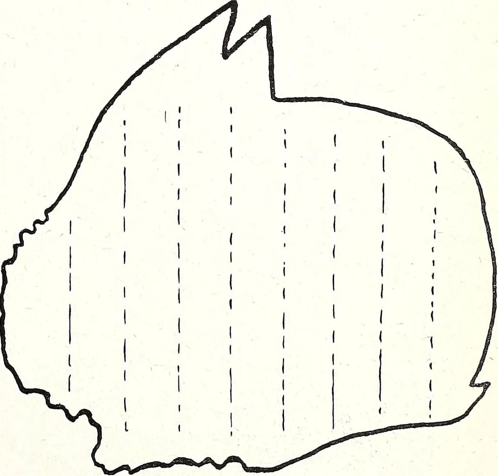 An illustration from The Kindergarten-Primary Magazine, 1912, leaf 200