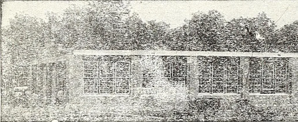 An illustration from The Kindergarten-Primary Magazine, 1912, leaf 239