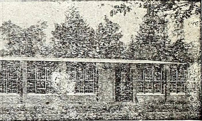 An illustration from The Kindergarten-Primary Magazine, 1912, leaf 239