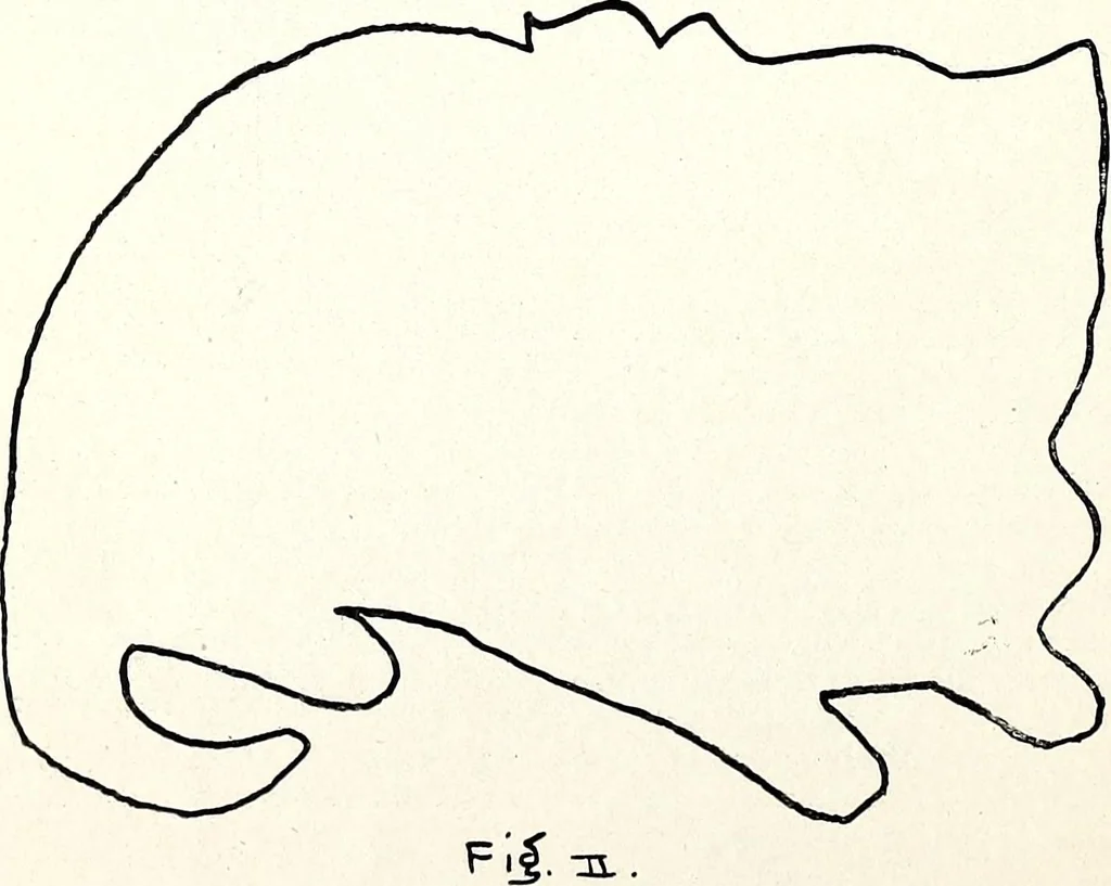 An illustration from The Kindergarten-Primary Magazine, 1912, leaf 25