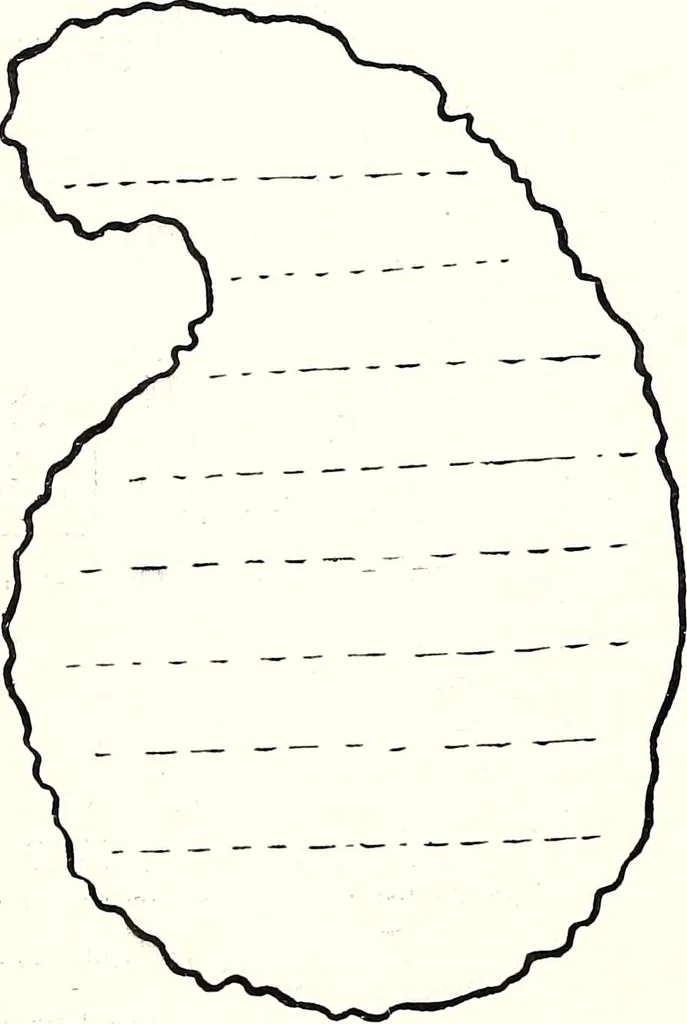 An illustration from The Kindergarten-Primary Magazine, 1912, leaf 69