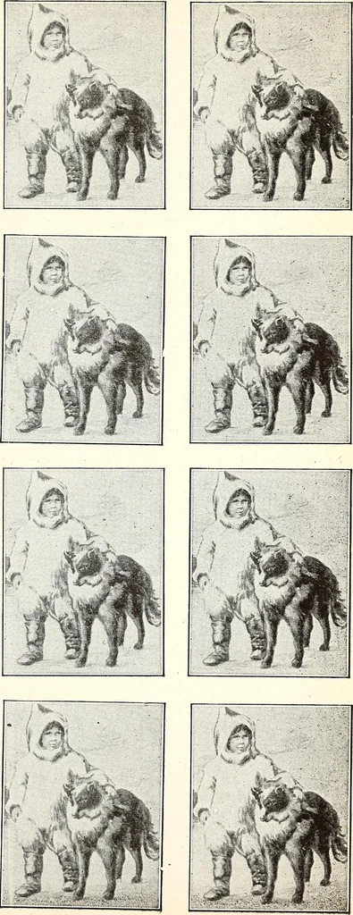 An illustration from The Kindergarten-Primary Magazine, 1913, leaf 168
