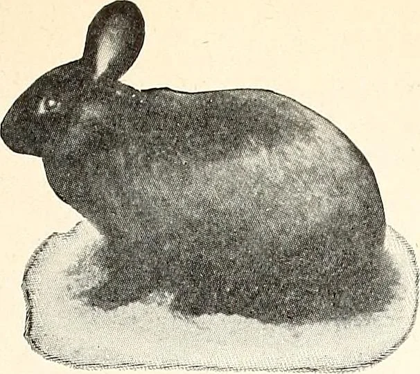 An illustration from The Kindergarten-Primary Magazine, 1913, leaf 234
