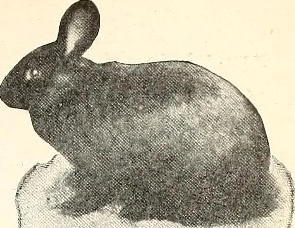 An illustration from The Kindergarten-Primary Magazine, 1913, leaf 234