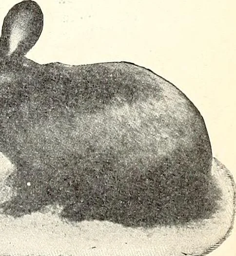 An illustration from The Kindergarten-Primary Magazine, 1913, leaf 234