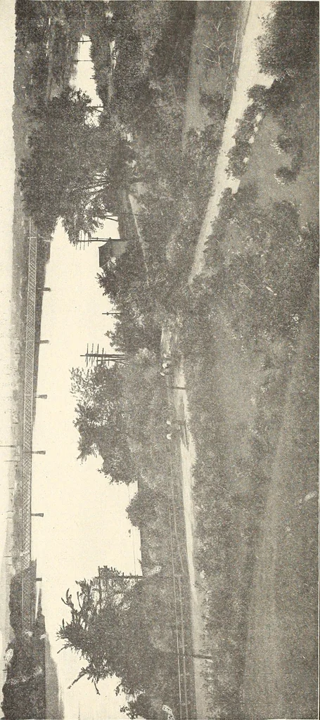 An illustration from The Kindergarten-Primary Magazine, 1913, leaf 237