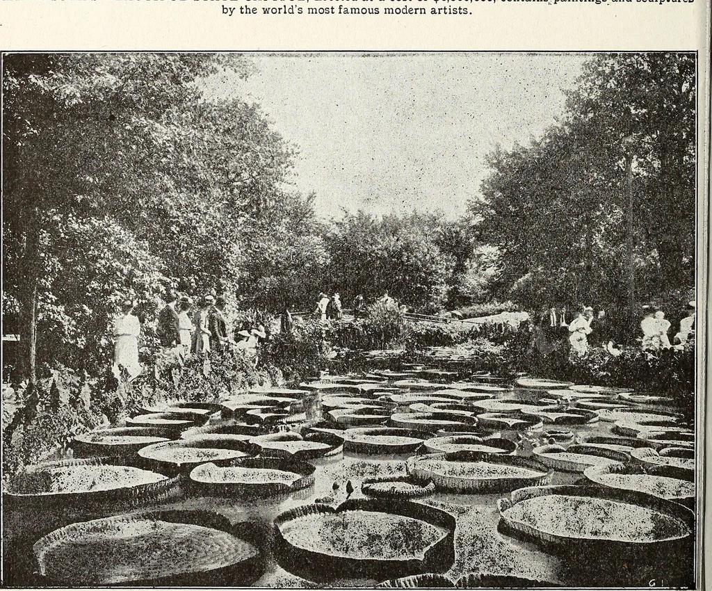 An illustration from The Kindergarten-Primary Magazine, 1913, leaf 273