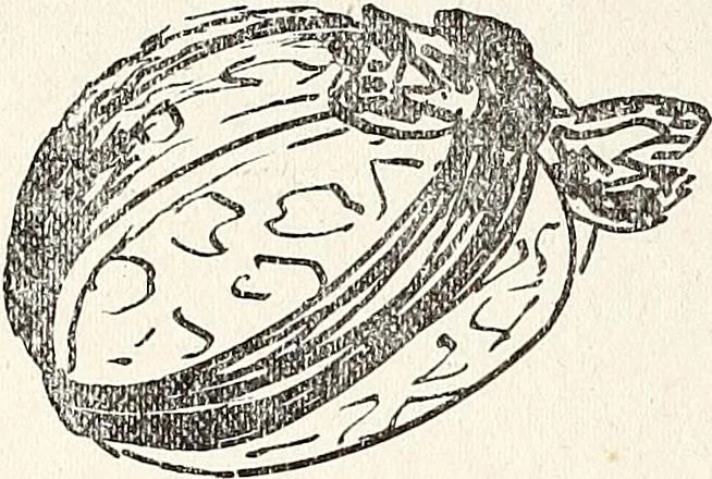 An illustration from The Kindergarten-Primary Magazine, 1913, leaf 333