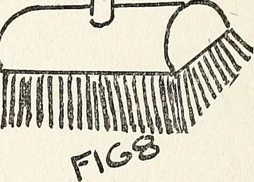 An illustration from The Kindergarten-Primary Magazine, 1913, leaf 333