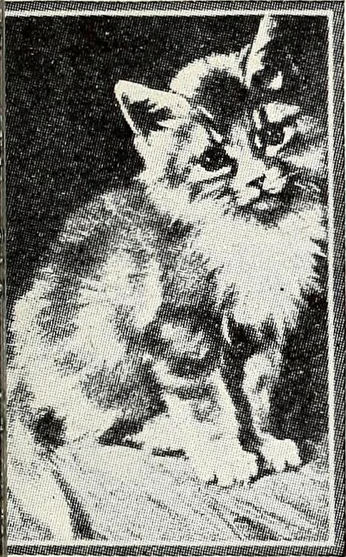 An illustration from The Kindergarten-Primary Magazine, 1913, leaf 40