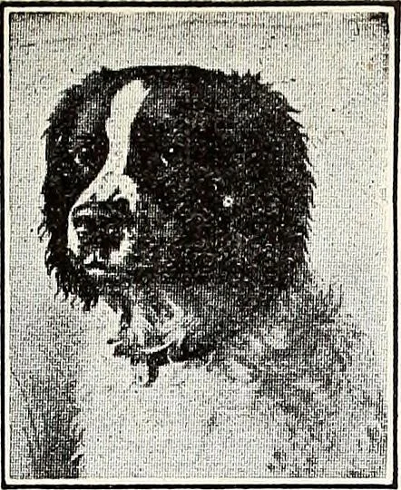 An illustration from The Kindergarten-Primary Magazine, 1913, leaf 72