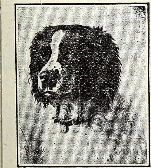 An illustration from The Kindergarten-Primary Magazine, 1913, leaf 72