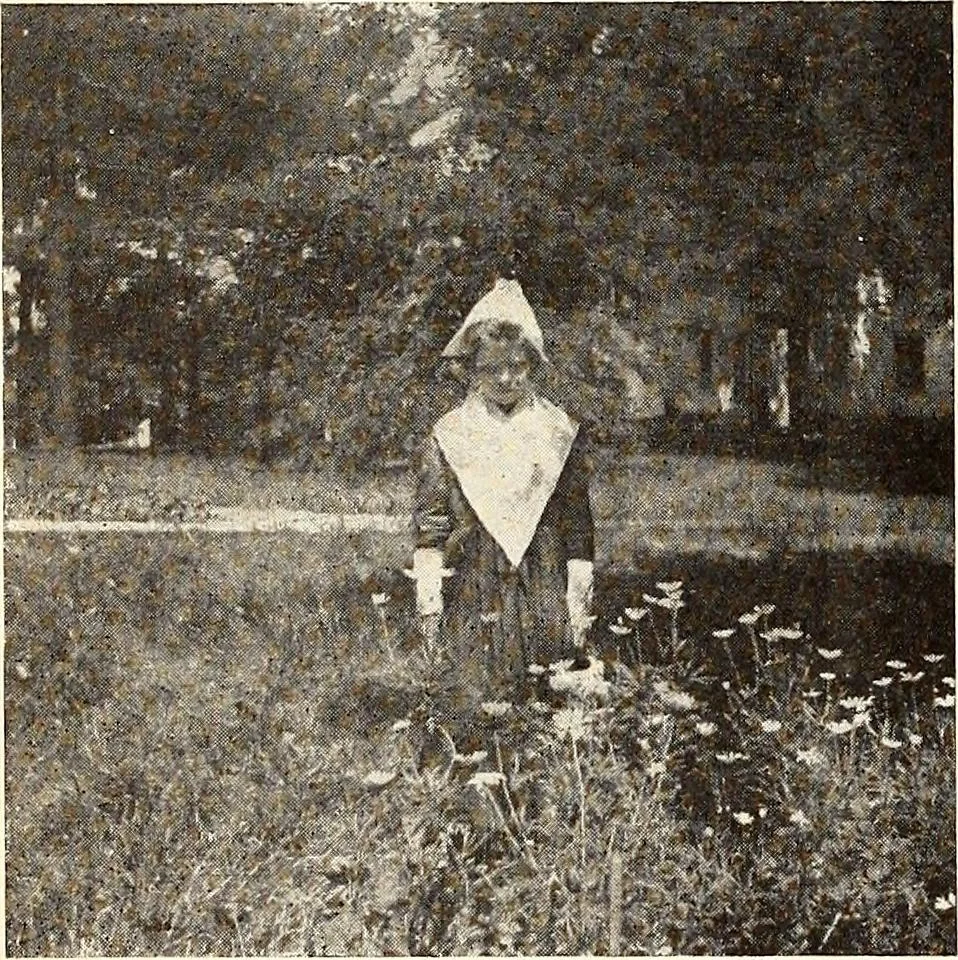 An illustration from The Kindergarten-Primary Magazine, 1913, leaf 99
