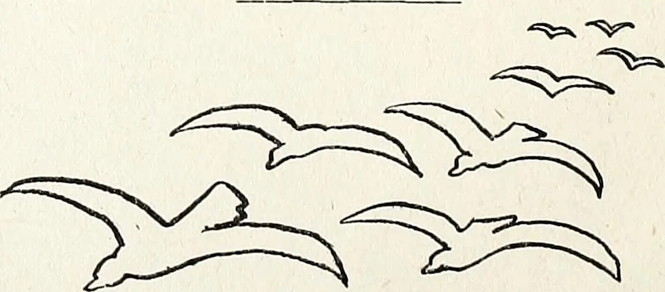 An illustration from The Kindergarten-Primary Magazine, 1914, leaf 17