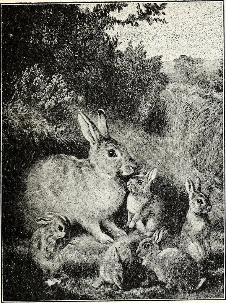 An illustration from The Kindergarten-Primary Magazine, 1914, leaf 196