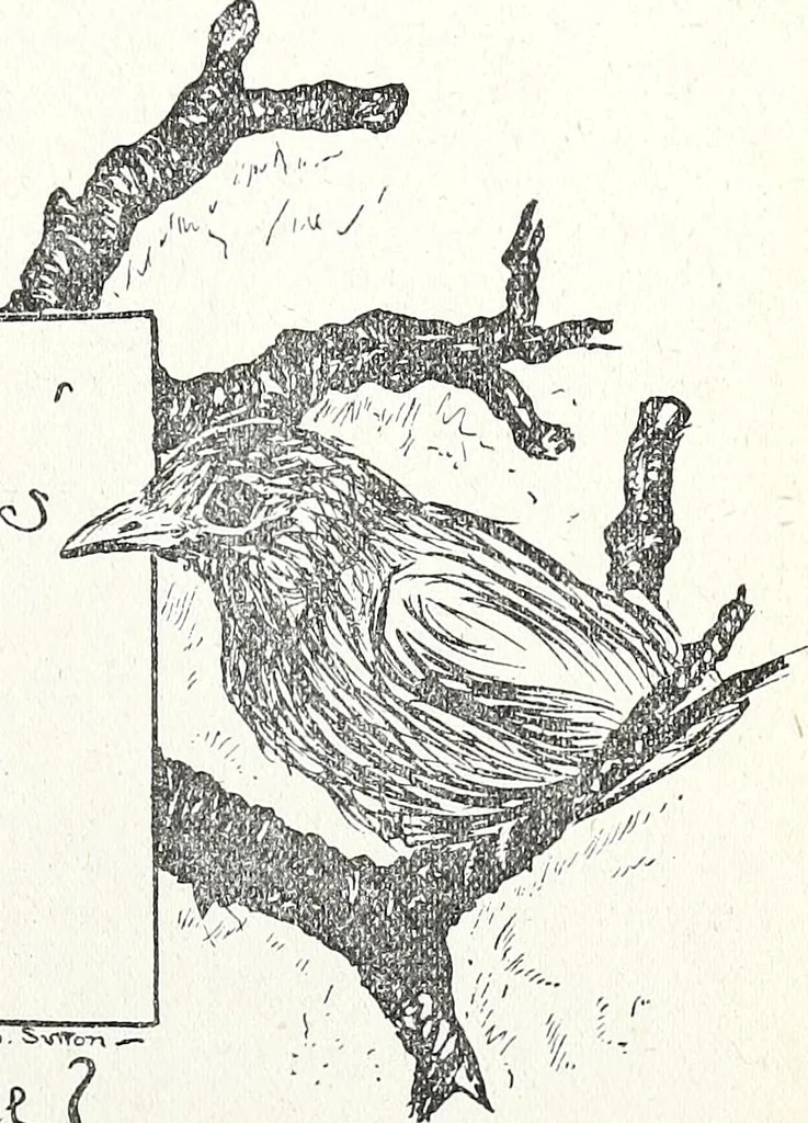 An illustration from The Kindergarten-Primary Magazine, 1914, leaf 208