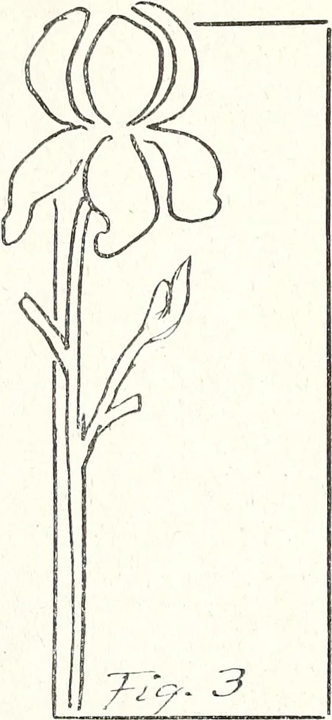 An illustration from The Kindergarten-Primary Magazine, 1914, leaf 336