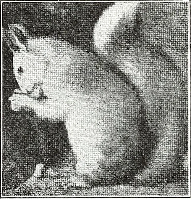 An illustration from The Kindergarten-Primary Magazine, 1914, leaf 84
