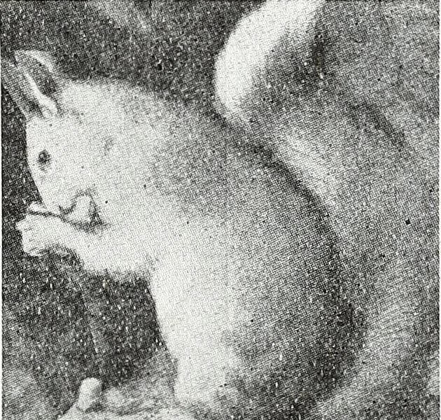 An illustration from The Kindergarten-Primary Magazine, 1914, leaf 84
