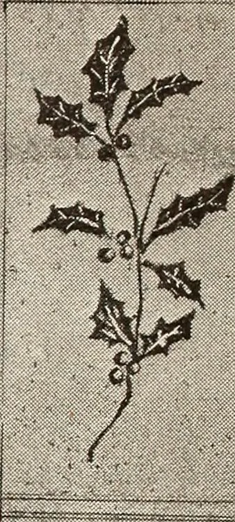 An illustration from The Kindergarten-Primary Magazine, 1915, leaf 117