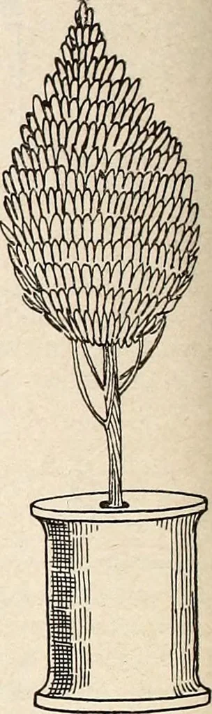 An illustration from The Kindergarten-Primary Magazine, 1915, leaf 125