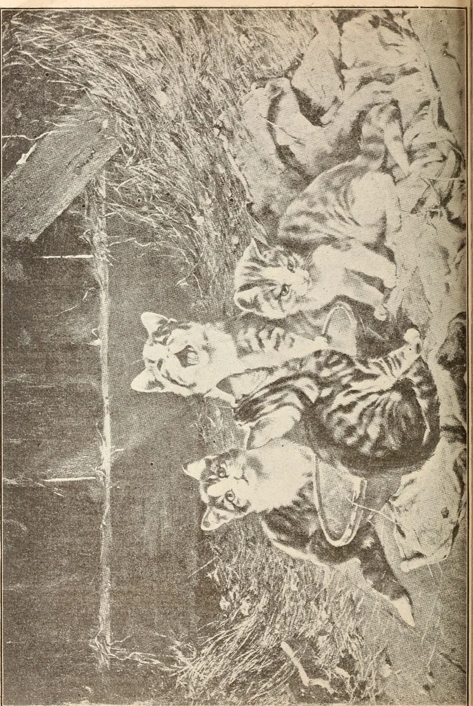 An illustration from The Kindergarten-Primary Magazine, 1915, leaf 189