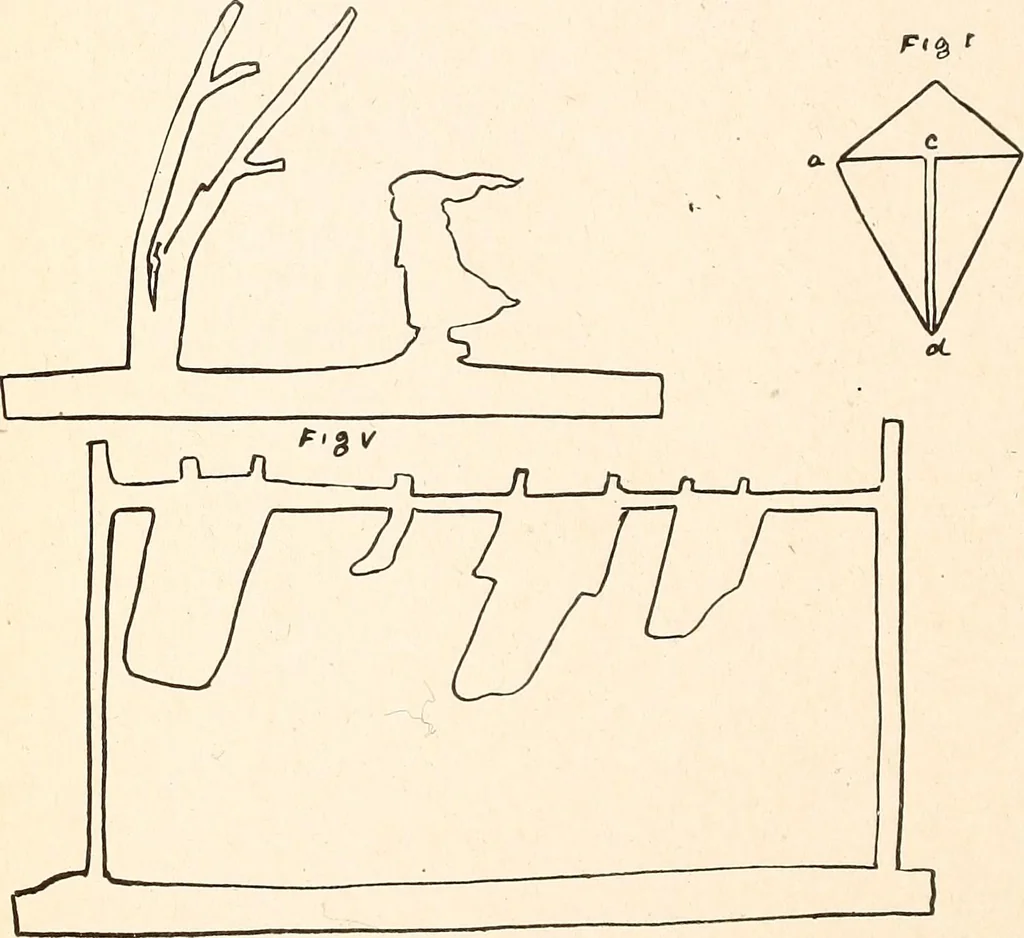 An illustration from The Kindergarten-Primary Magazine, 1915, leaf 223