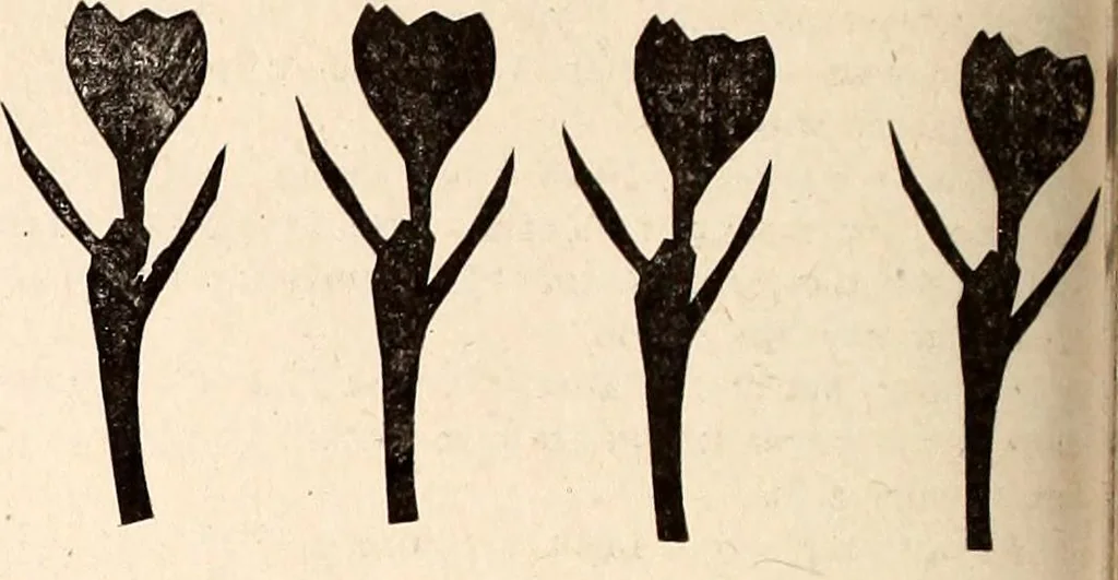 An illustration from The Kindergarten-Primary Magazine, 1915, leaf 227