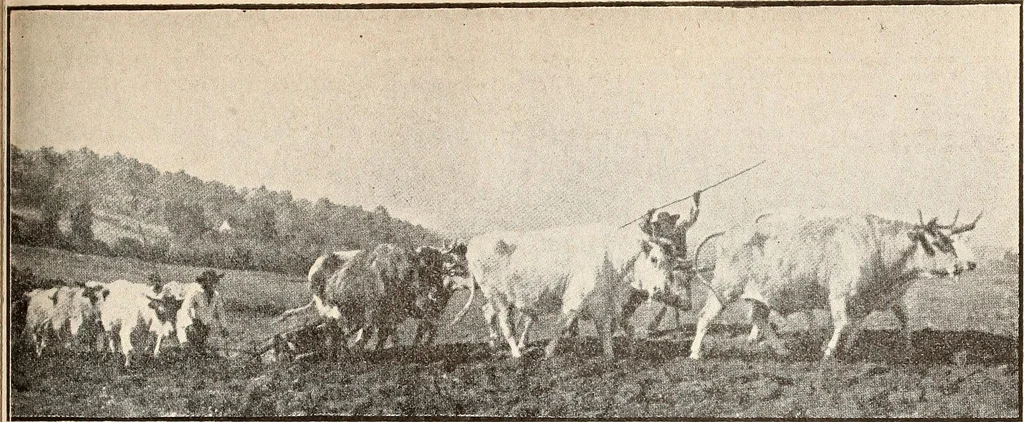 An illustration from The Kindergarten-Primary Magazine, 1915, leaf 228