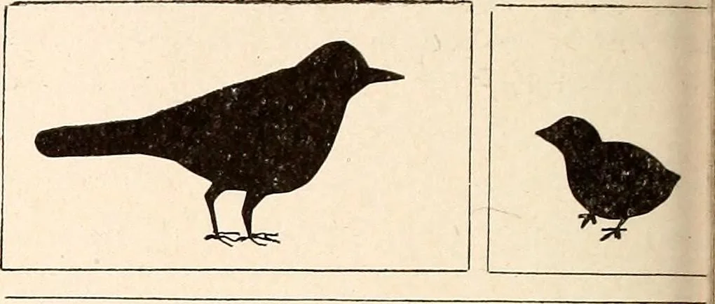 An illustration from The Kindergarten-Primary Magazine, 1915, leaf 255