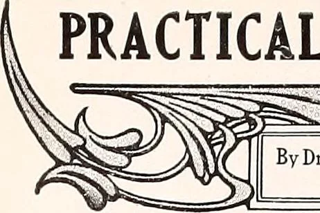 An illustration from The Kindergarten-Primary Magazine, 1915, leaf 305