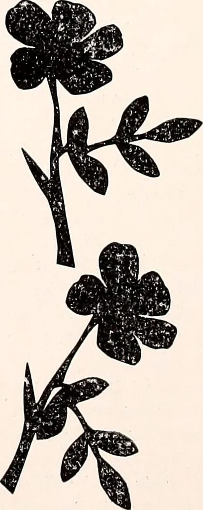 An illustration from The Kindergarten-Primary Magazine, 1915, leaf 315