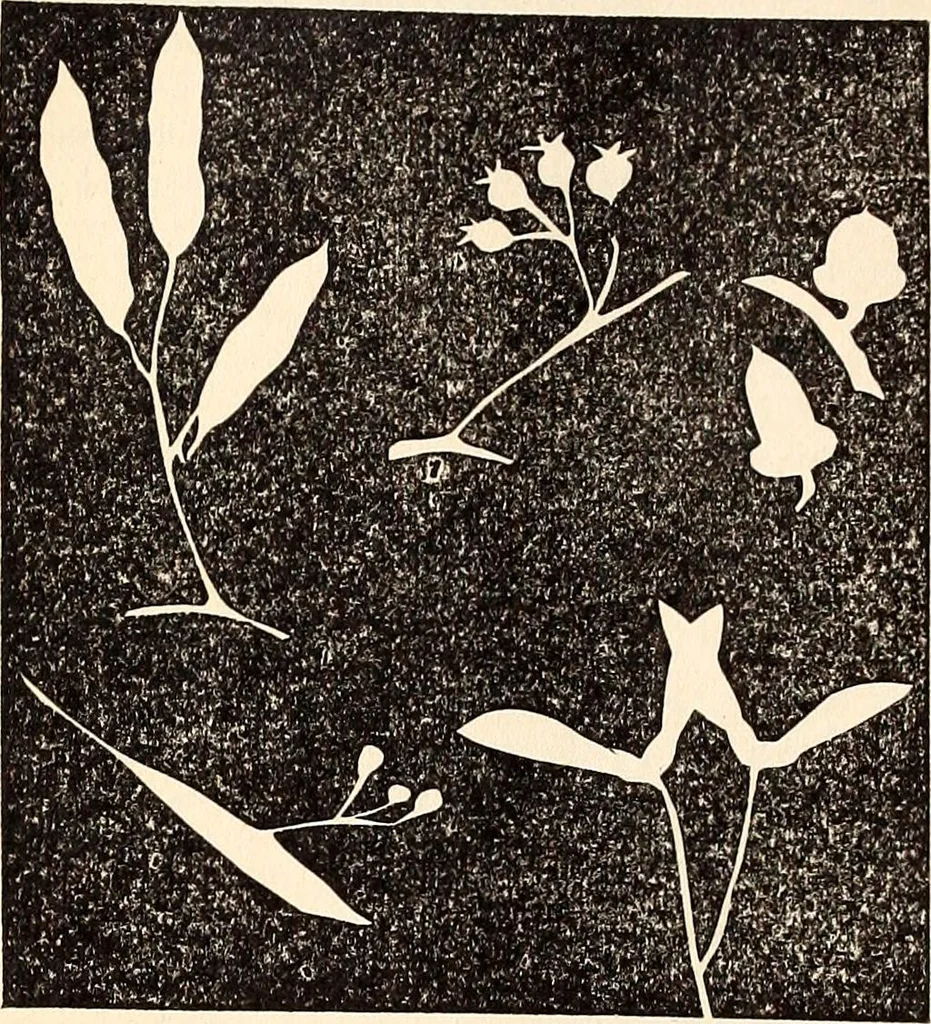 An illustration from The Kindergarten-Primary Magazine, 1915, leaf 33