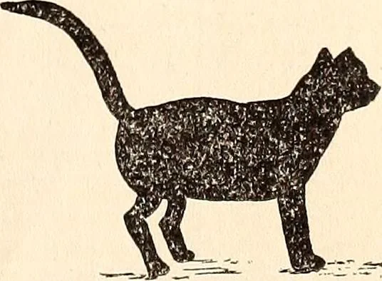 An illustration from The Kindergarten-Primary Magazine, 1915, leaf 34