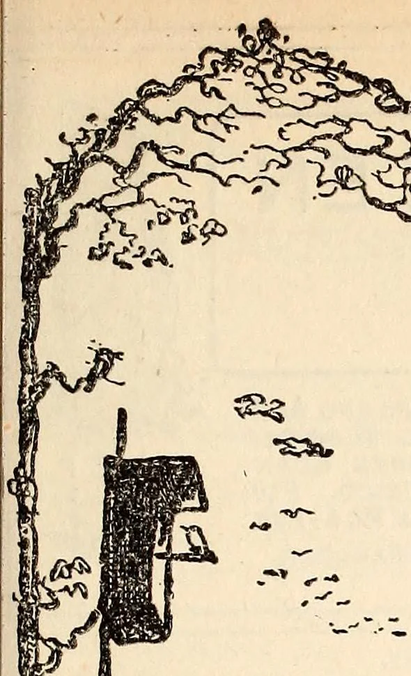 An illustration from The Kindergarten-Primary Magazine, 1915, leaf 46