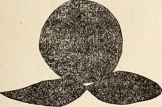 An illustration from The Kindergarten-Primary Magazine, 1915, leaf 94