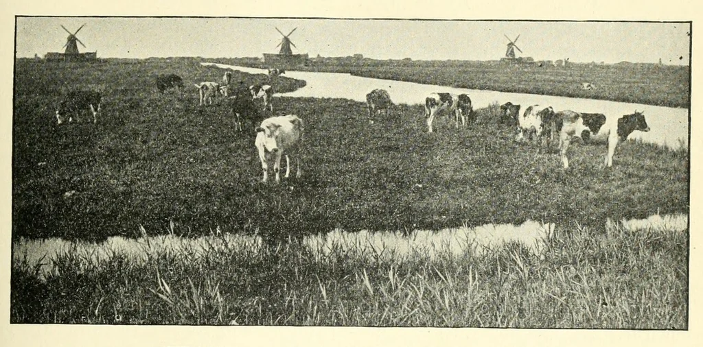 An illustration from Kindergarten review, 1891, leaf 495