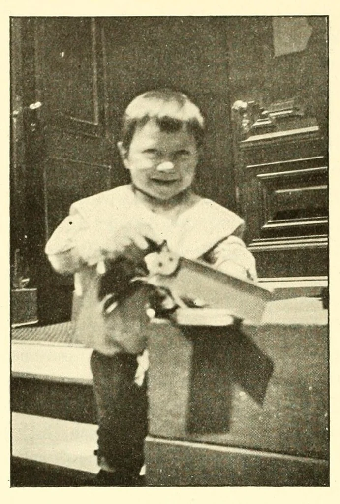 An illustration from Kindergarten review, 1891, leaf 560