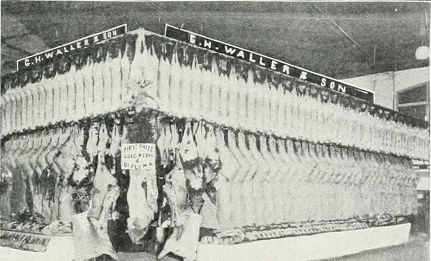 An illustration from King Edward Hotel guests' book, 1906, leaf 66