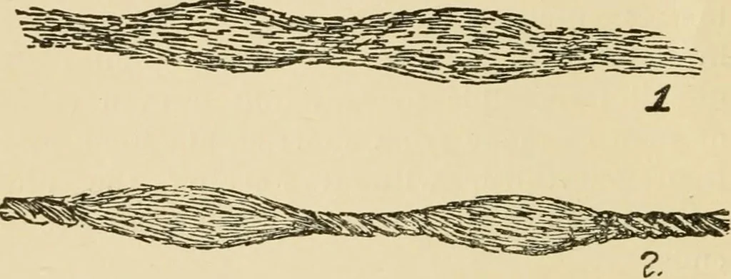 An illustration from Kinks on wool carding and spinning, 1912, leaf 21