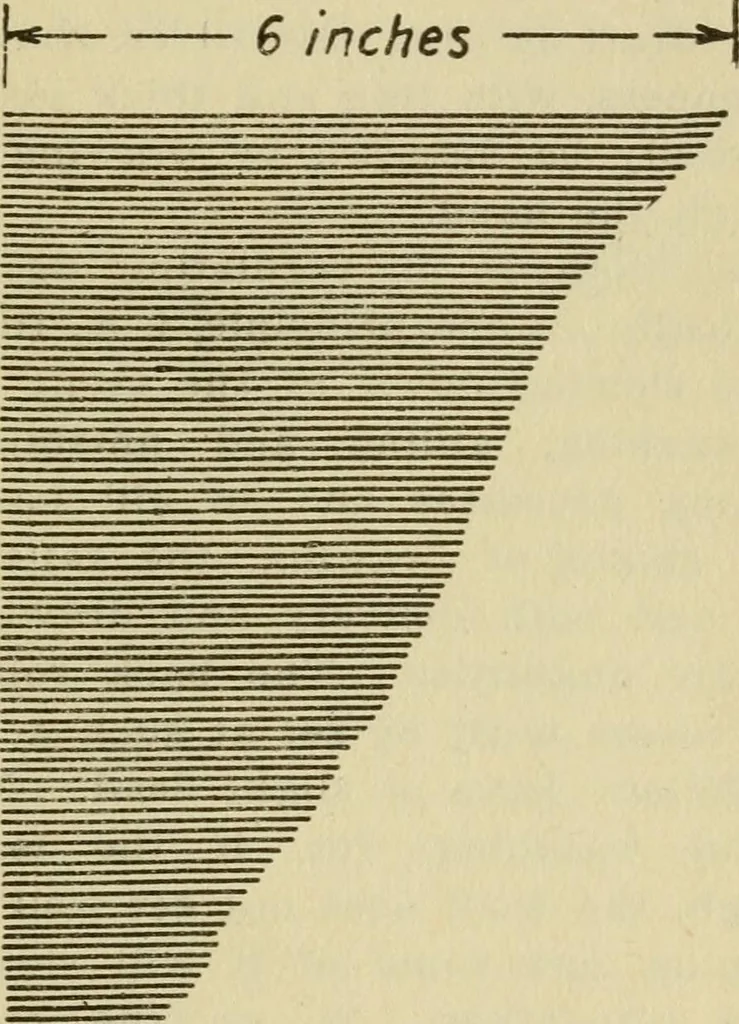 An illustration from Kinks on worsted combing, drawing and spinning, 1911, leaf 12