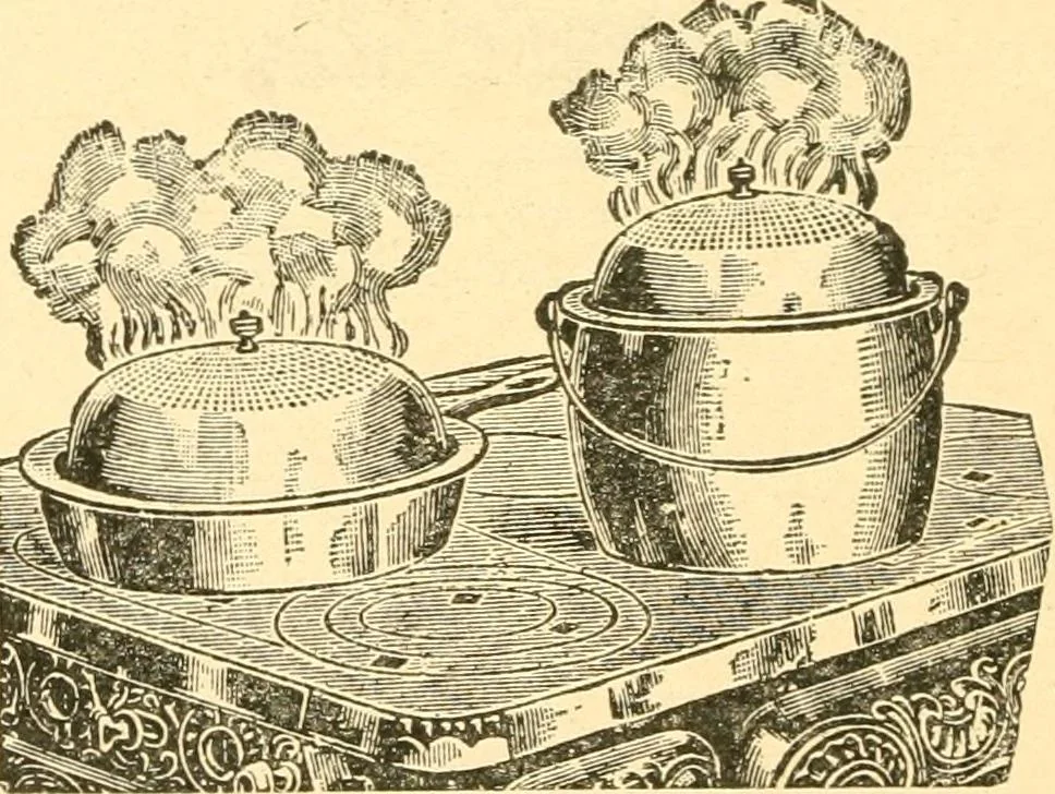 An illustration from The kitchen fire and how to run it. A manual for the housewife showing how to save coal, gas, labor and health, 1912, leaf 89