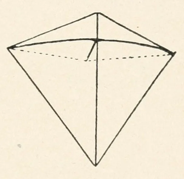 An illustration from Kitecraft and kite tournaments, 1914, leaf 31