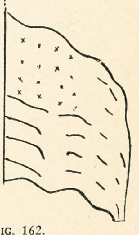 An illustration from Kitecraft and kite tournaments, 1914, leaf 90