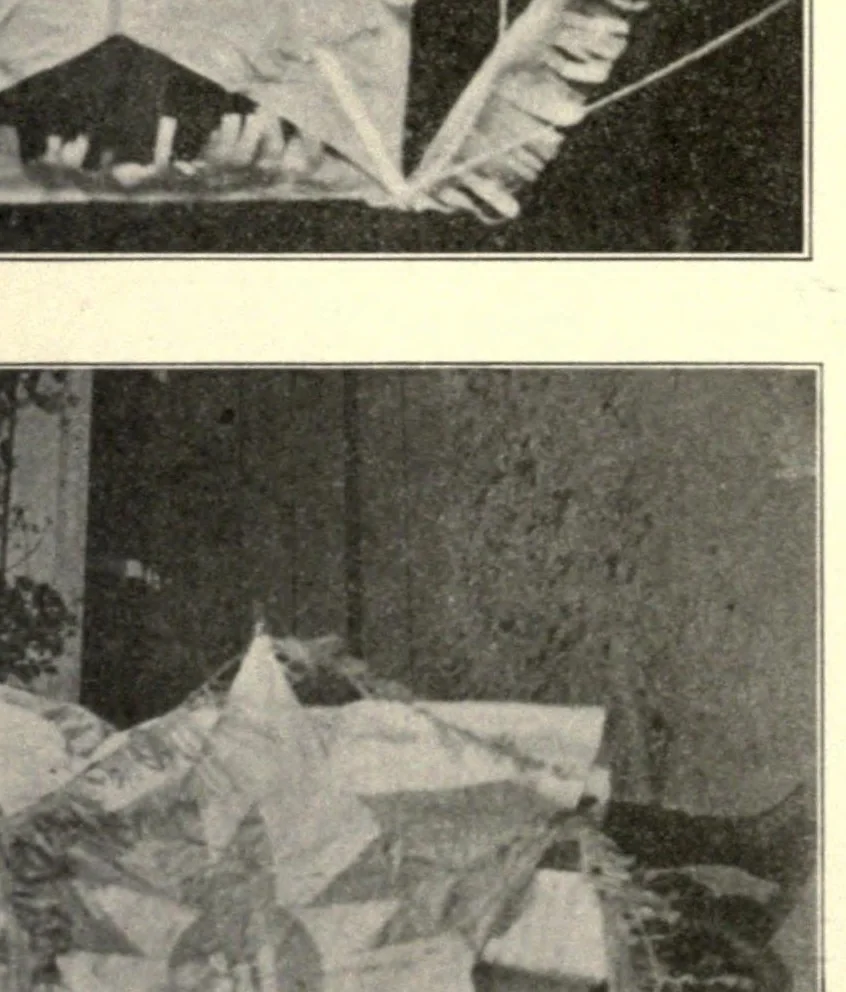 An illustration from Kitecraft and kite tournaments, 1914, leaf 34