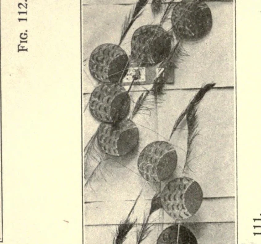 An illustration from Kitecraft and kite tournaments, 1914, leaf 66