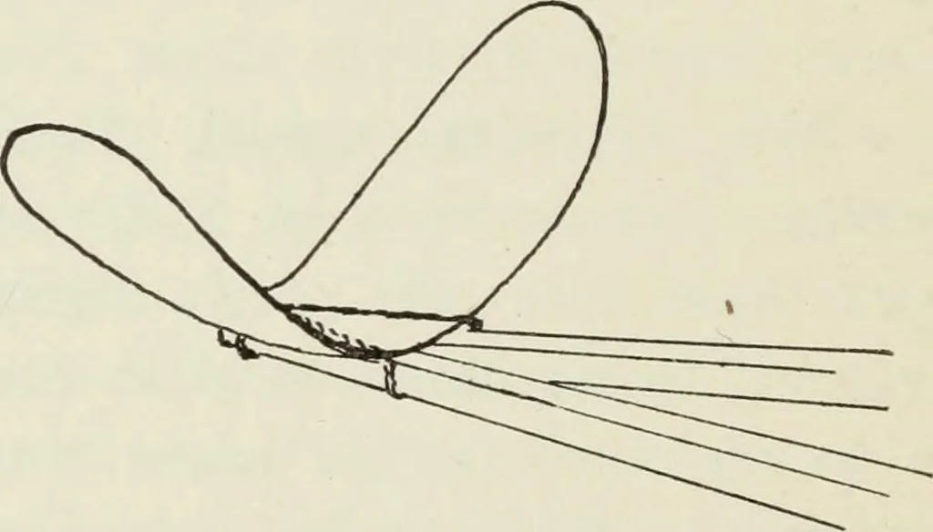 An illustration from Kitecraft and kite tournaments, 1919, leaf 121