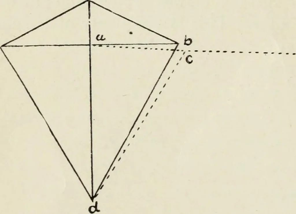 An illustration from Kitecraft and kite tournaments, 1919, leaf 19