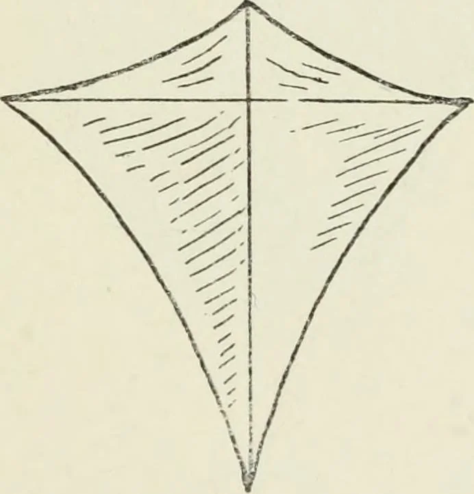 An illustration from Kitecraft and kite tournaments, 1919, leaf 26